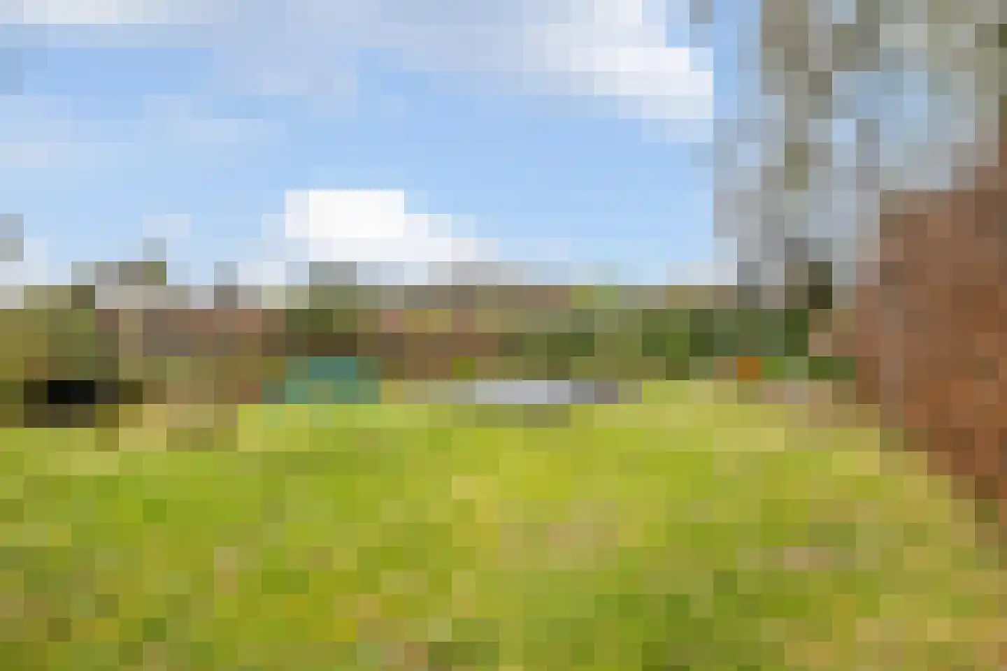 Oude Zwolseweg 43 Wenum Wiesel thumbnail 29