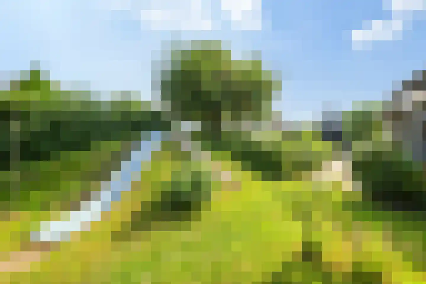 Oude Zwolseweg 43 Wenum Wiesel thumbnail 30