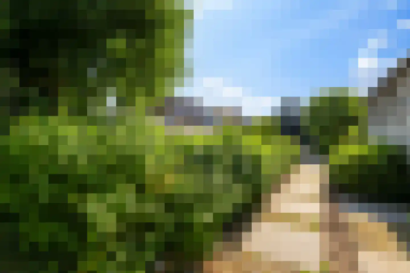 Oude Zwolseweg 43 Wenum Wiesel thumbnail 31