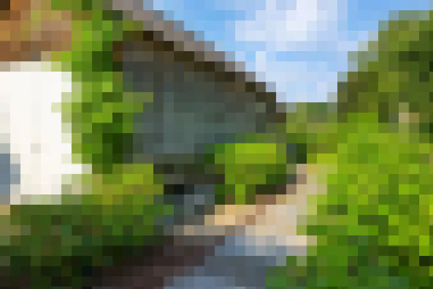 Oude Zwolseweg 43 Wenum Wiesel thumbnail 35