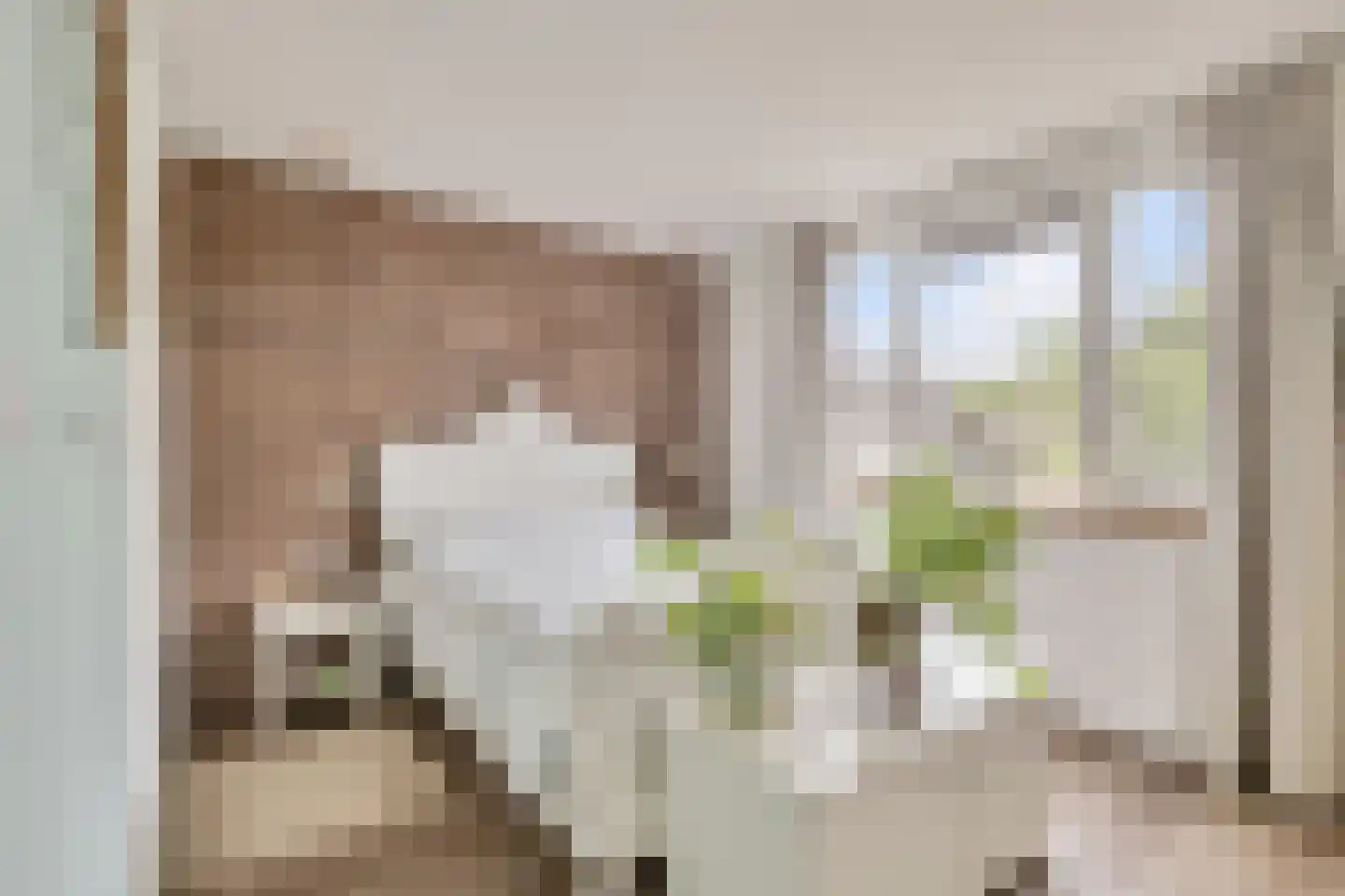 Oude Zwolseweg 43 Wenum Wiesel thumbnail 39