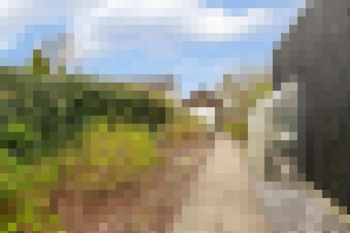 Oude Zwolseweg 43 Wenum Wiesel thumbnail 39