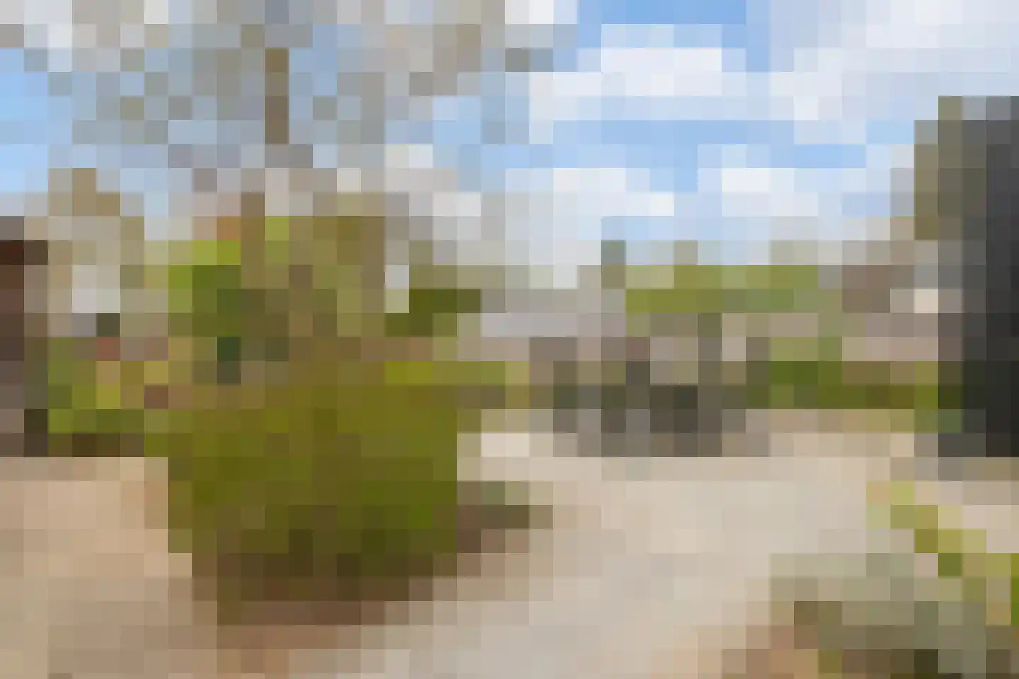 Oude Zwolseweg 43 Wenum Wiesel thumbnail 40