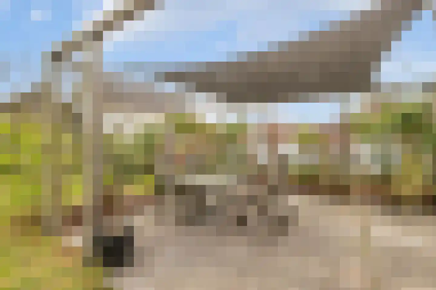 Oude Zwolseweg 43 Wenum Wiesel thumbnail 49