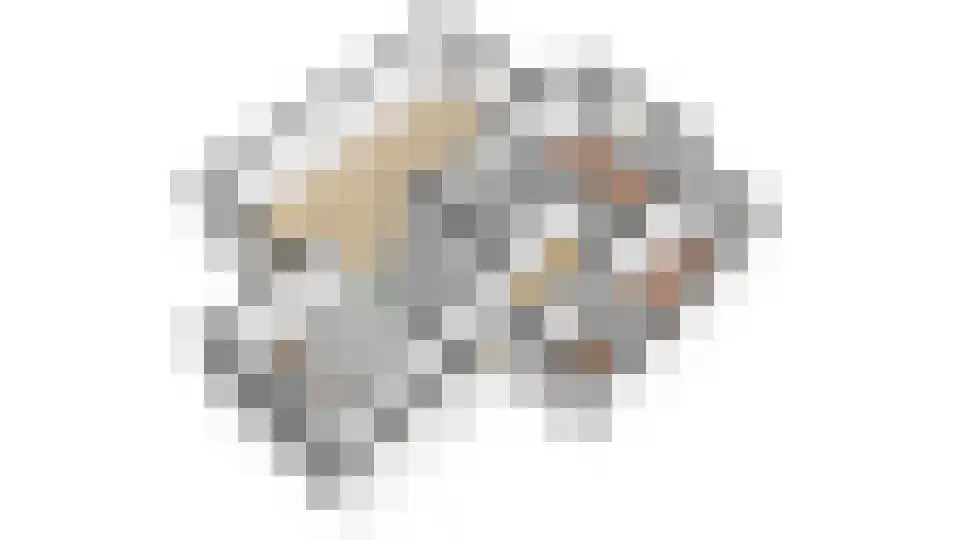Oude Zwolseweg 43 Wenum Wiesel thumbnail 58