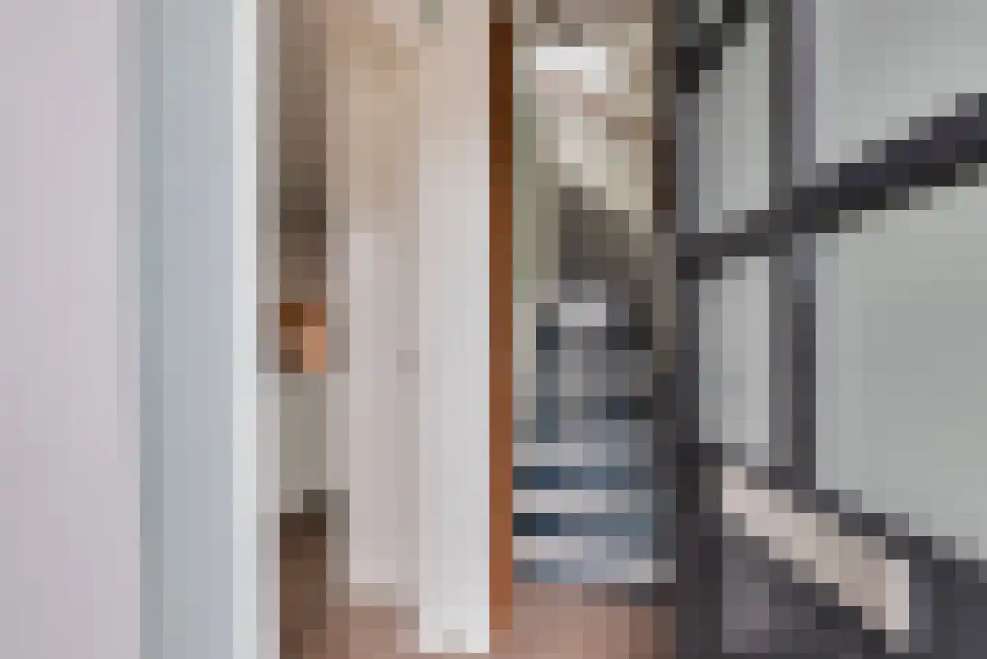 Oude Zwolseweg 43 Wenum Wiesel thumbnail 6
