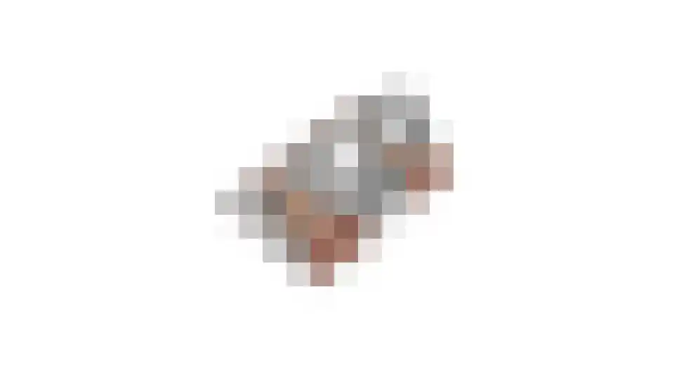 Oude Zwolseweg 43 Wenum Wiesel thumbnail 63