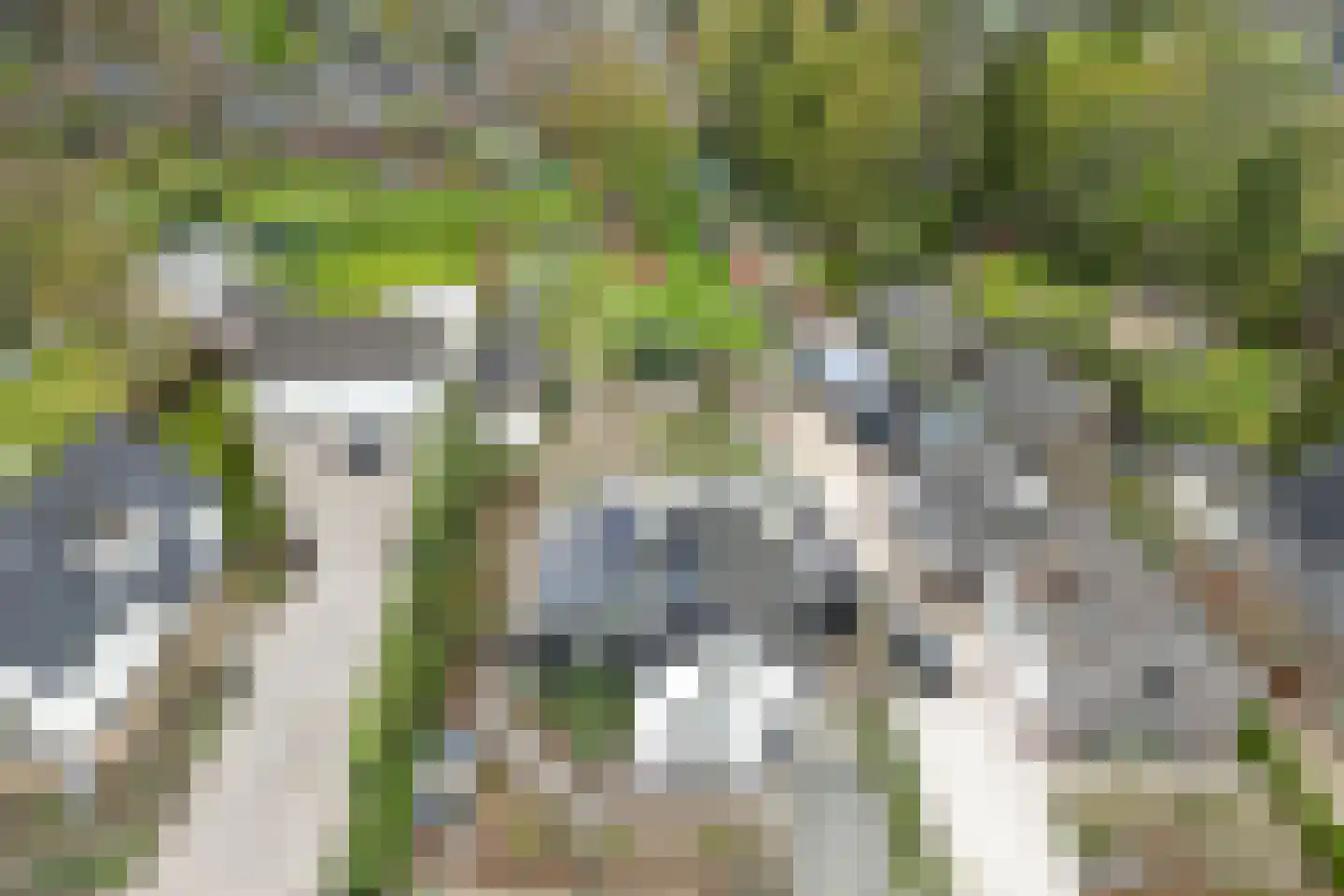 Oude Zwolseweg 43 Wenum Wiesel thumbnail 63