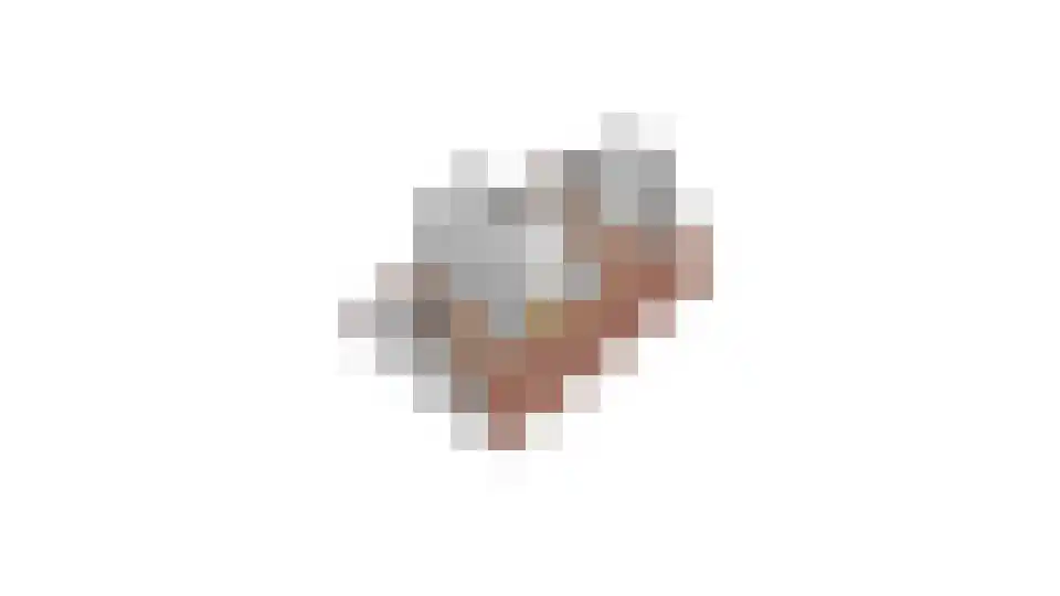 Oude Zwolseweg 43 Wenum Wiesel thumbnail 64