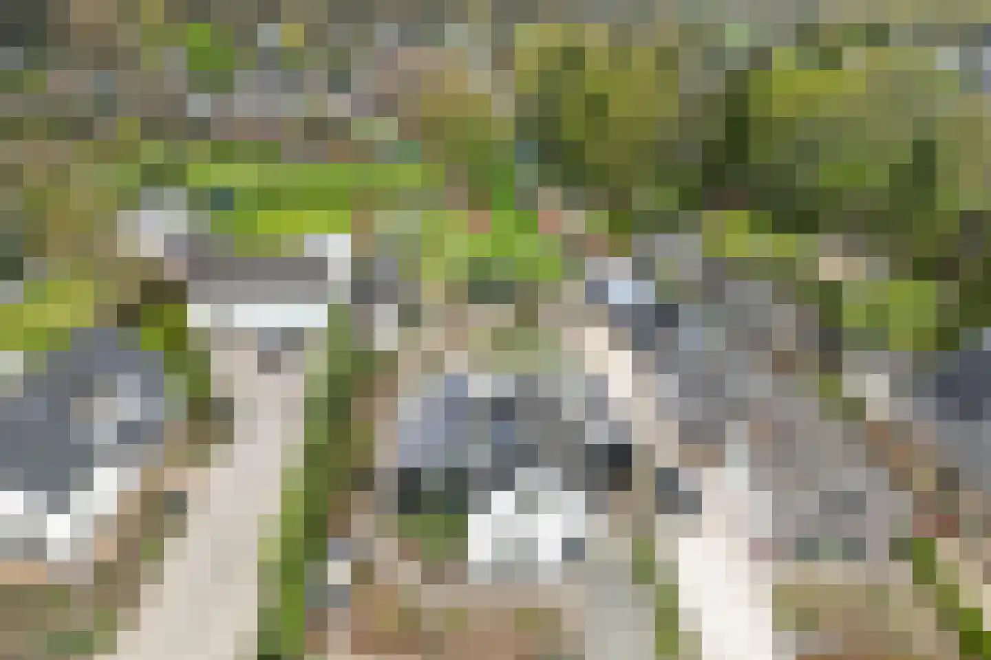 Oude Zwolseweg 43 Wenum Wiesel thumbnail 64