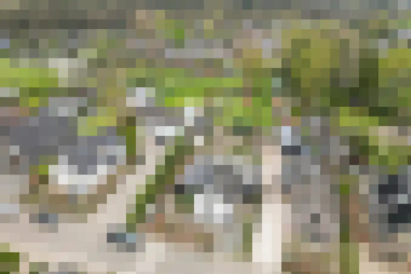 Oude Zwolseweg 43 Wenum Wiesel thumbnail 65