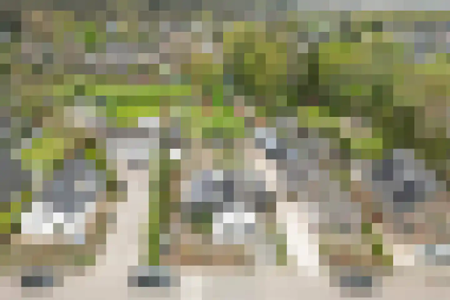 Oude Zwolseweg 43 Wenum Wiesel thumbnail 66