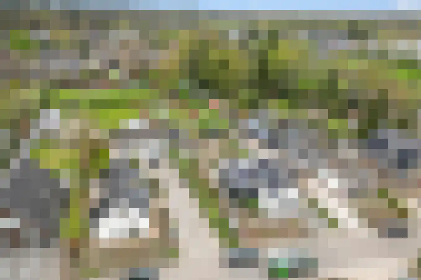 Oude Zwolseweg 43 Wenum Wiesel thumbnail 67
