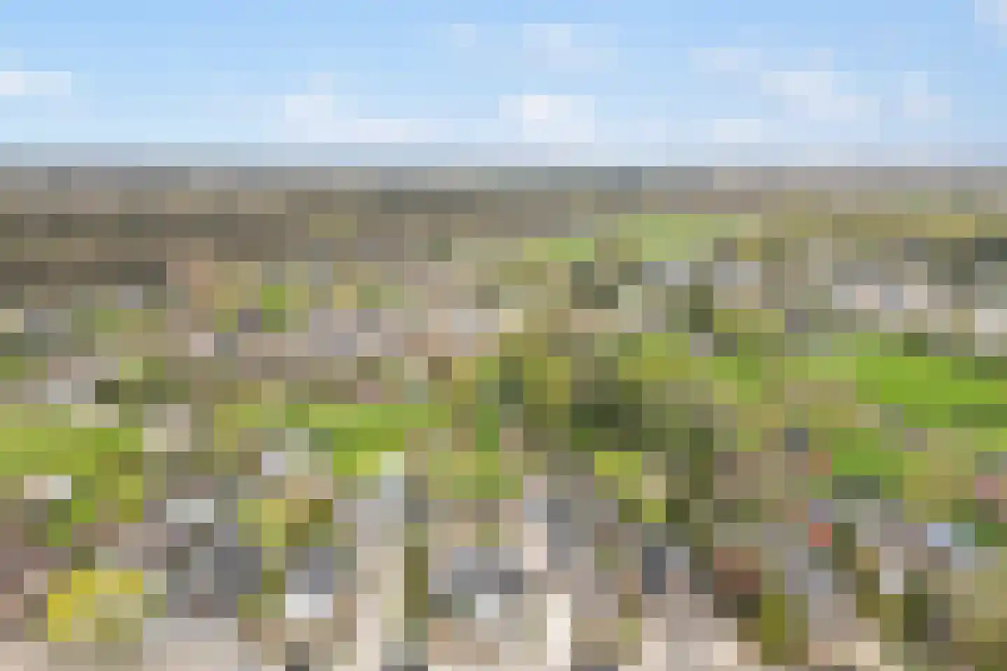 Oude Zwolseweg 43 Wenum Wiesel thumbnail 68