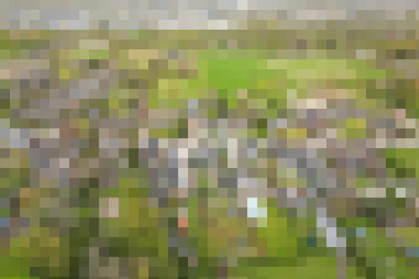 Oude Zwolseweg 43 Wenum Wiesel thumbnail 71