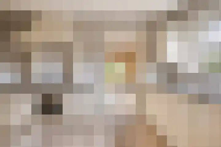Oude Zwolseweg 63 3 Wenum Wiesel thumbnail 10