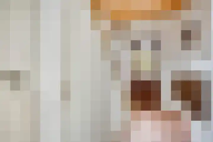 Oude Zwolseweg 63 3 Wenum Wiesel thumbnail 16