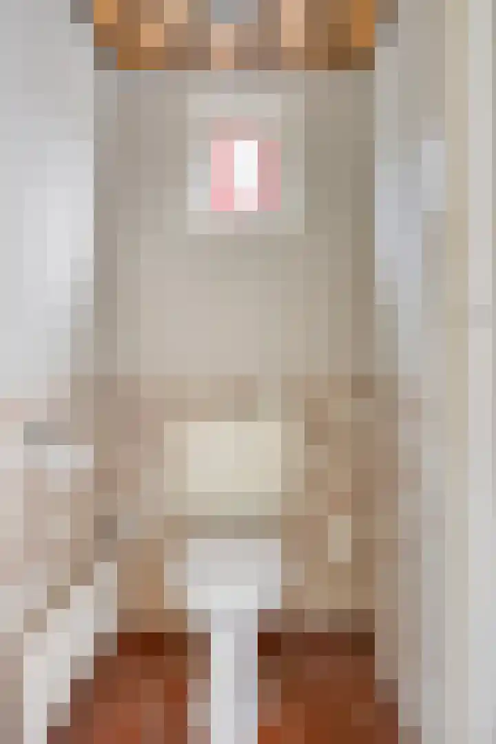 Oude Zwolseweg 63 3 Wenum Wiesel thumbnail 19