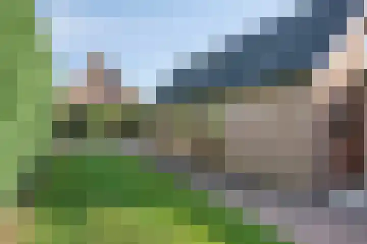 Oude Zwolseweg 63 3 Wenum Wiesel thumbnail 31