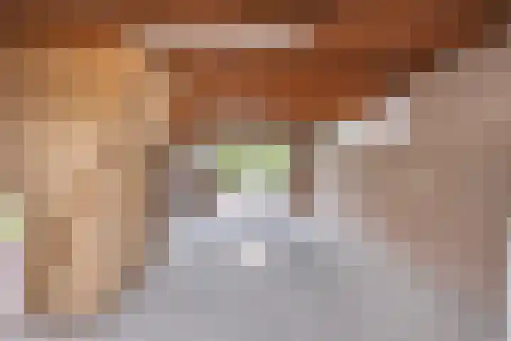 Oude Zwolseweg 63 3 Wenum Wiesel thumbnail 32