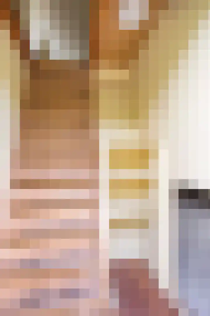 Oude Zwolseweg 63 3 Wenum Wiesel thumbnail 33