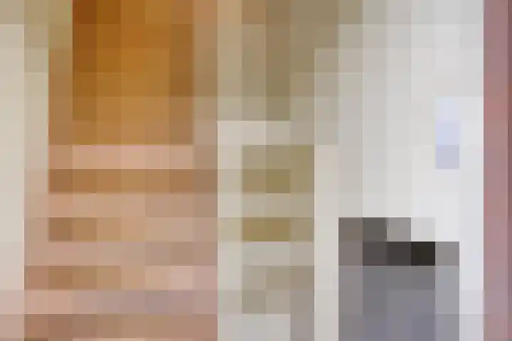 Oude Zwolseweg 63 3 Wenum Wiesel thumbnail 34