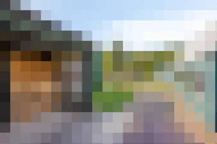Oude Zwolseweg 63 3 Wenum Wiesel thumbnail 39