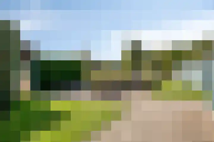 Oude Zwolseweg 63 3 Wenum Wiesel thumbnail 40