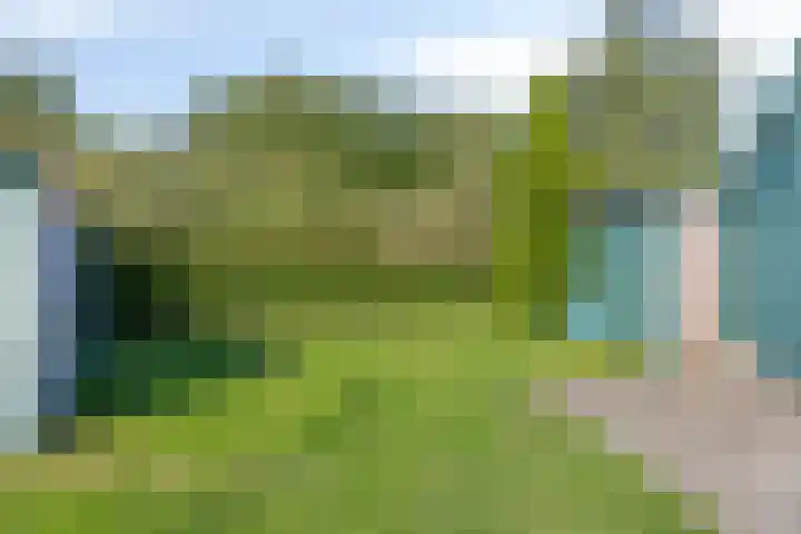 Oude Zwolseweg 63 3 Wenum Wiesel thumbnail 43