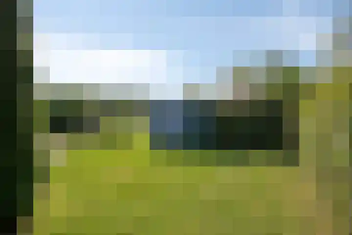 Oude Zwolseweg 63 3 Wenum Wiesel thumbnail 45