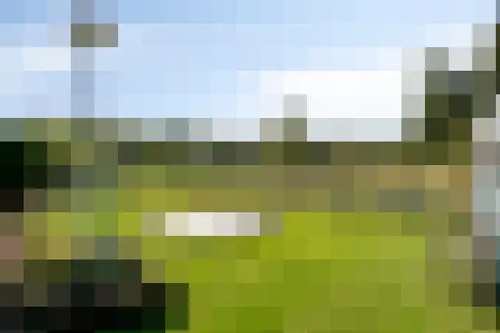 Oude Zwolseweg 63 3 Wenum Wiesel thumbnail 48