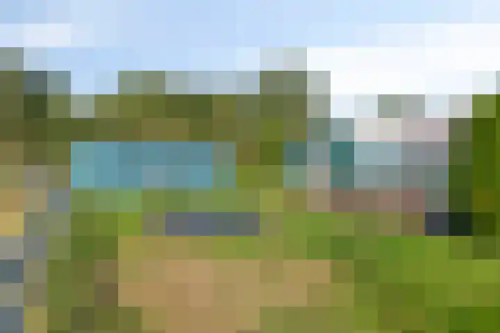 Oude Zwolseweg 63 3 Wenum Wiesel thumbnail 49