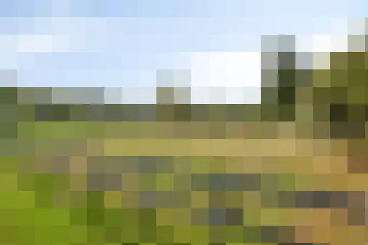 Oude Zwolseweg 63 3 Wenum Wiesel thumbnail 50