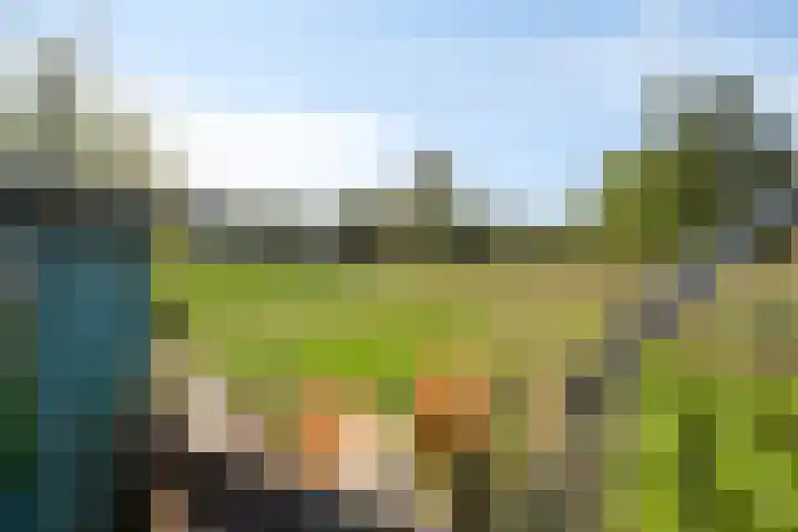 Oude Zwolseweg 63 3 Wenum Wiesel thumbnail 51
