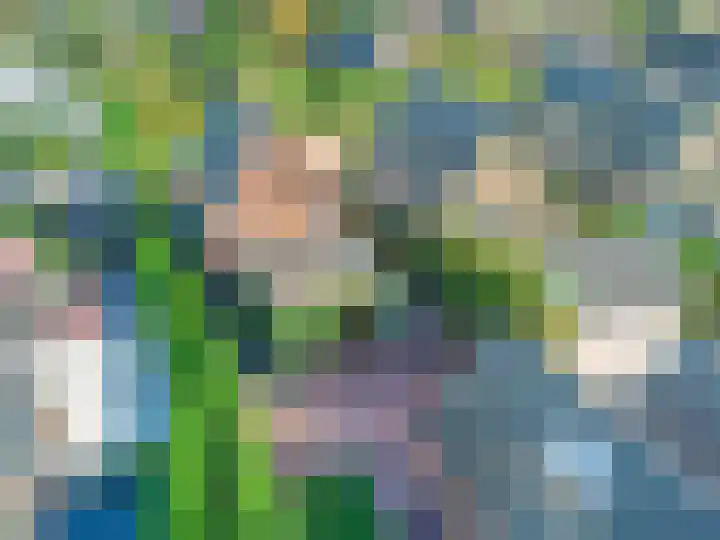 Oude Zwolseweg 63 3 Wenum Wiesel thumbnail 52
