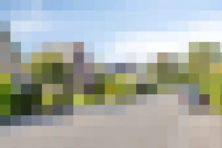 Oude Zwolseweg 63 3 Wenum Wiesel thumbnail 58