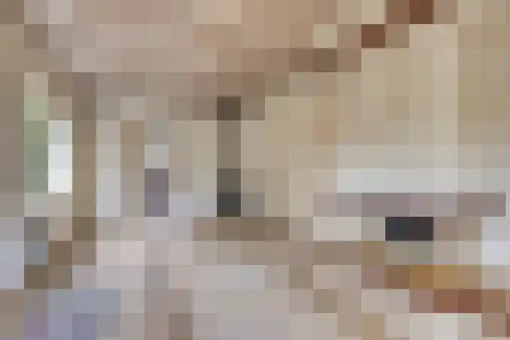 Oude Zwolseweg 63 3 Wenum Wiesel thumbnail 6