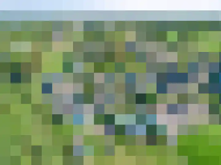 Oude Zwolseweg 63 3 Wenum Wiesel thumbnail 62