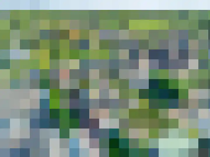Oude Zwolseweg 63 3 Wenum Wiesel thumbnail 64