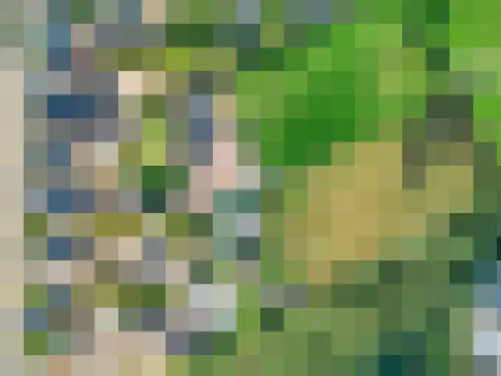 Oude Zwolseweg 63 3 Wenum Wiesel thumbnail 65