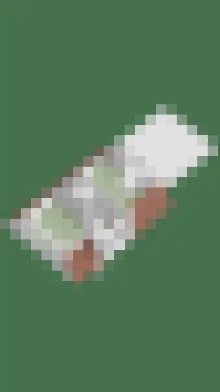 Oude Zwolseweg 63 3 Wenum Wiesel thumbnail 69