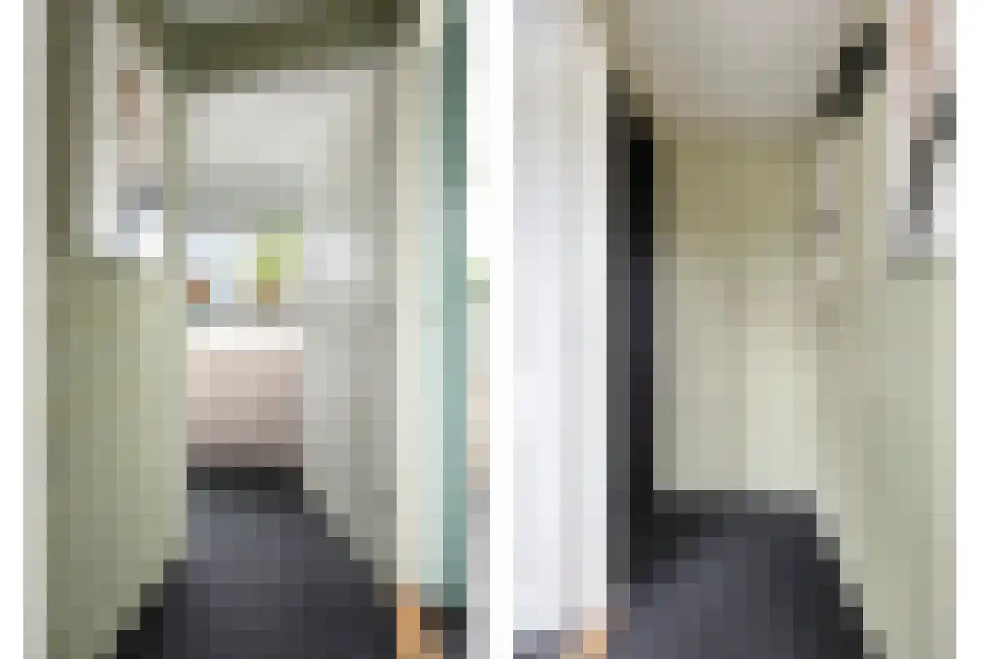 Oude Zwolseweg 65 Wenum Wiesel thumbnail 15