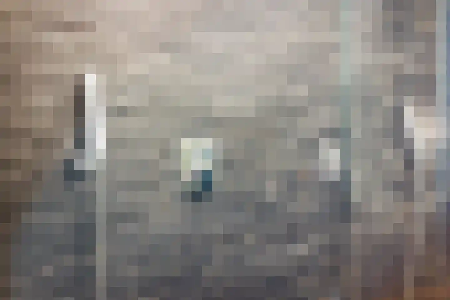 Oude Zwolseweg 65 Wenum Wiesel thumbnail 20