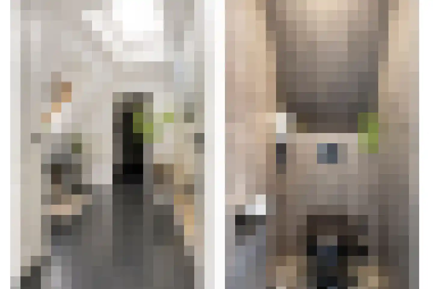 Oude Zwolseweg 65 Wenum Wiesel thumbnail 29