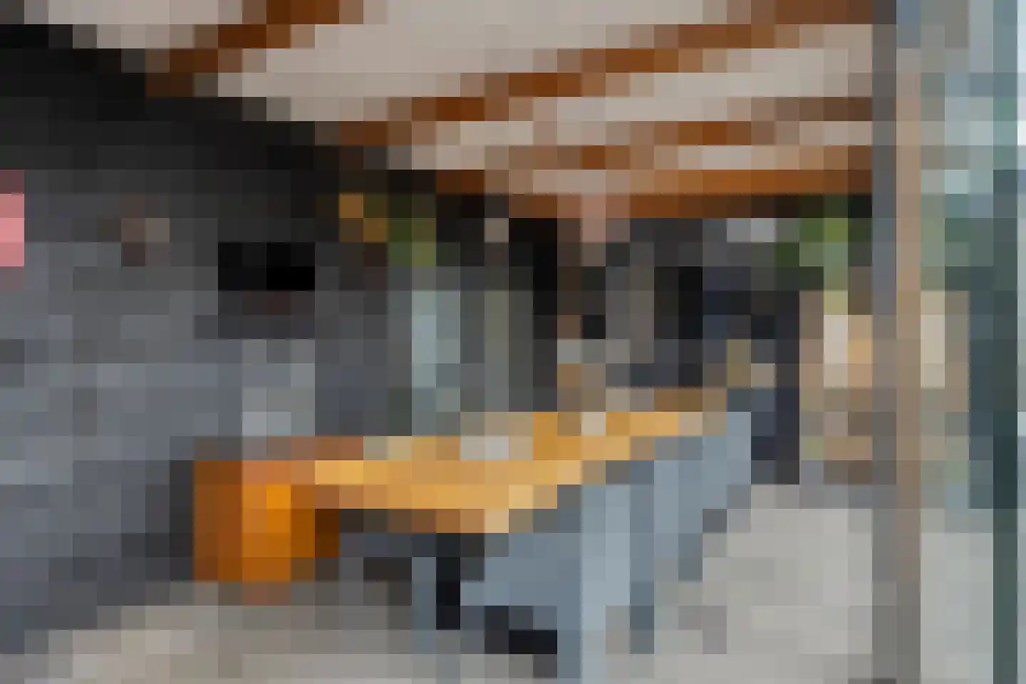 Oude Zwolseweg 65 Wenum Wiesel thumbnail 38