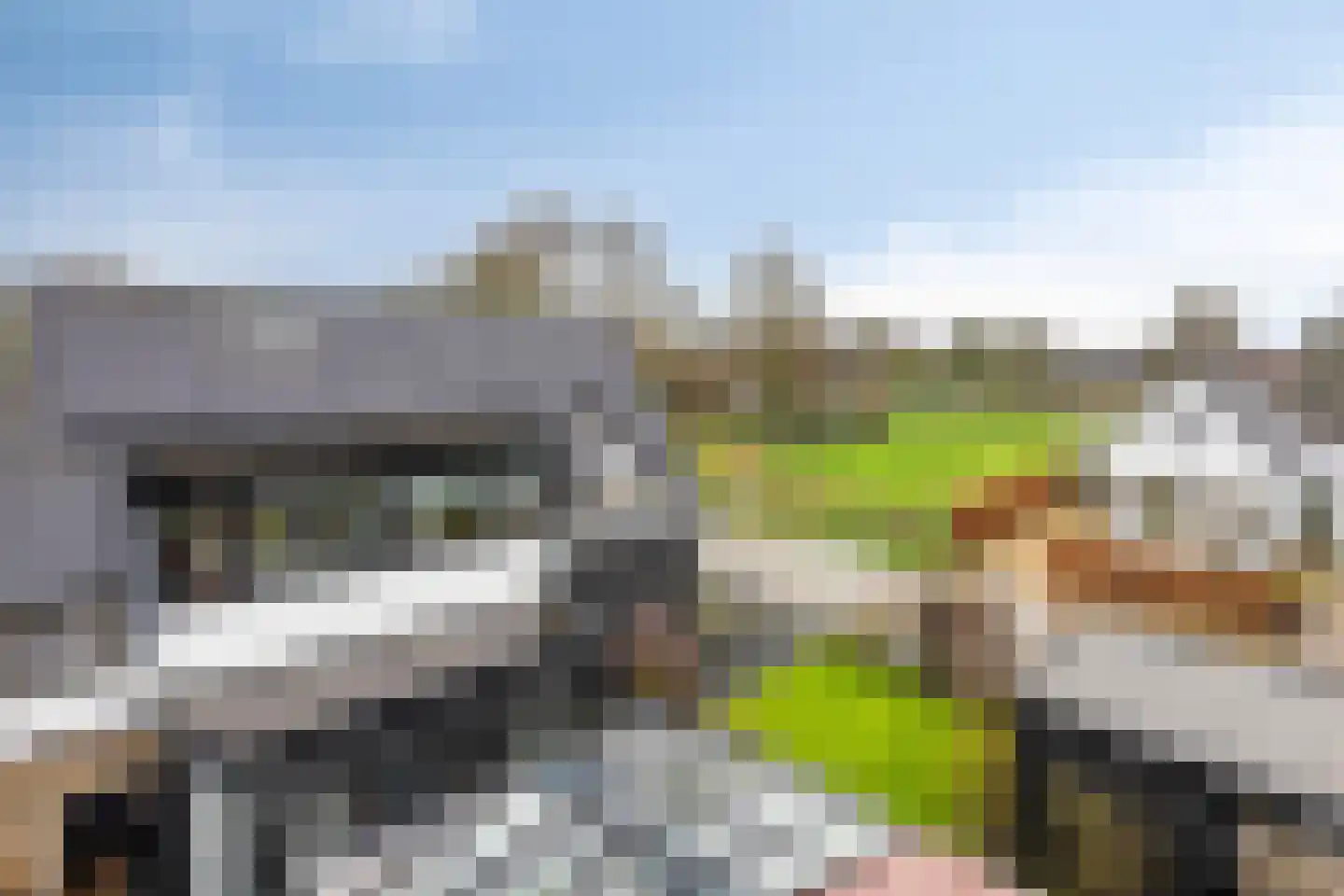 Oude Zwolseweg 65 Wenum Wiesel thumbnail 44