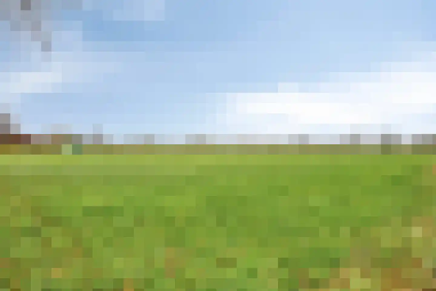 Oude Zwolseweg 65 Wenum Wiesel thumbnail 50