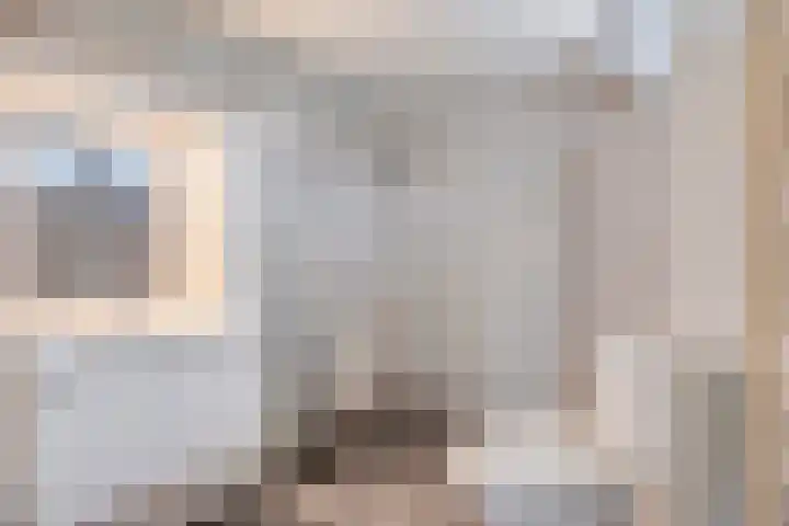 Oude Zwolseweg 67 Wenum Wiesel thumbnail 11