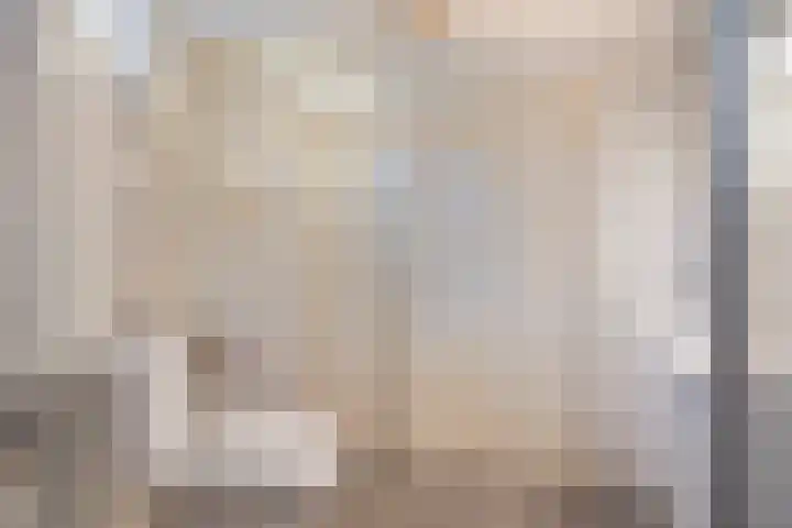 Oude Zwolseweg 67 Wenum Wiesel thumbnail 12