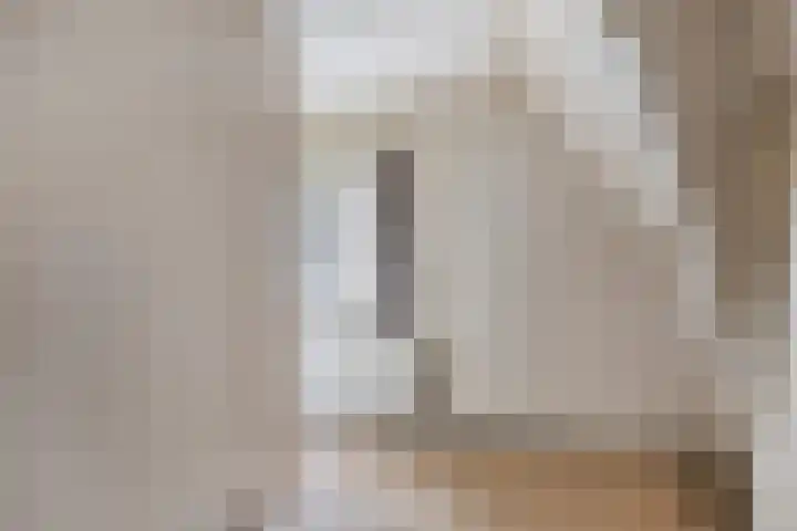 Oude Zwolseweg 67 Wenum Wiesel thumbnail 15